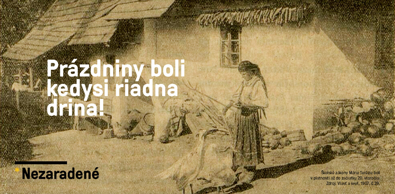 foto prázdniny boli kedysi riadna drina