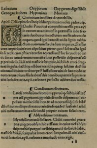 FOTO: Kuchárska kniha z roku 1503: Apicii Celii De re Coquinaria libri decem